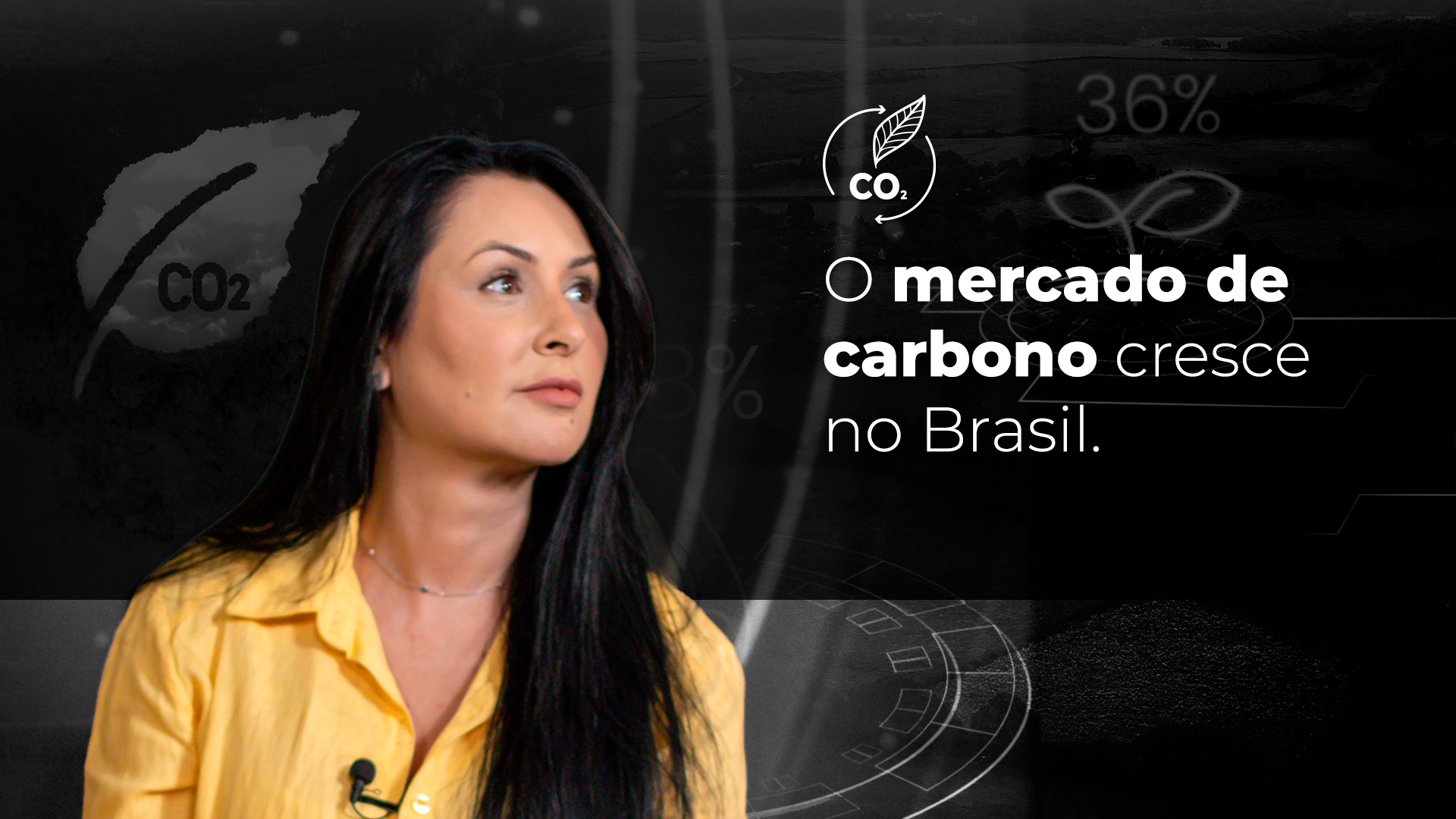 No momento, você está visualizando O ativo mais valioso do século XXI não é tecnologia. É carbono.