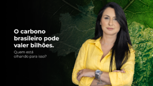 Leia mais sobre o artigo Por Que o Capital Estrangeiro Está Avançando Sobre o Mercado de Carbono no Brasil?